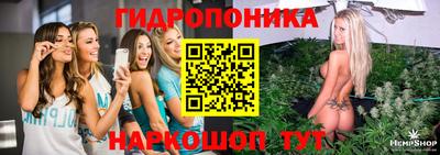 амф Новокубанск