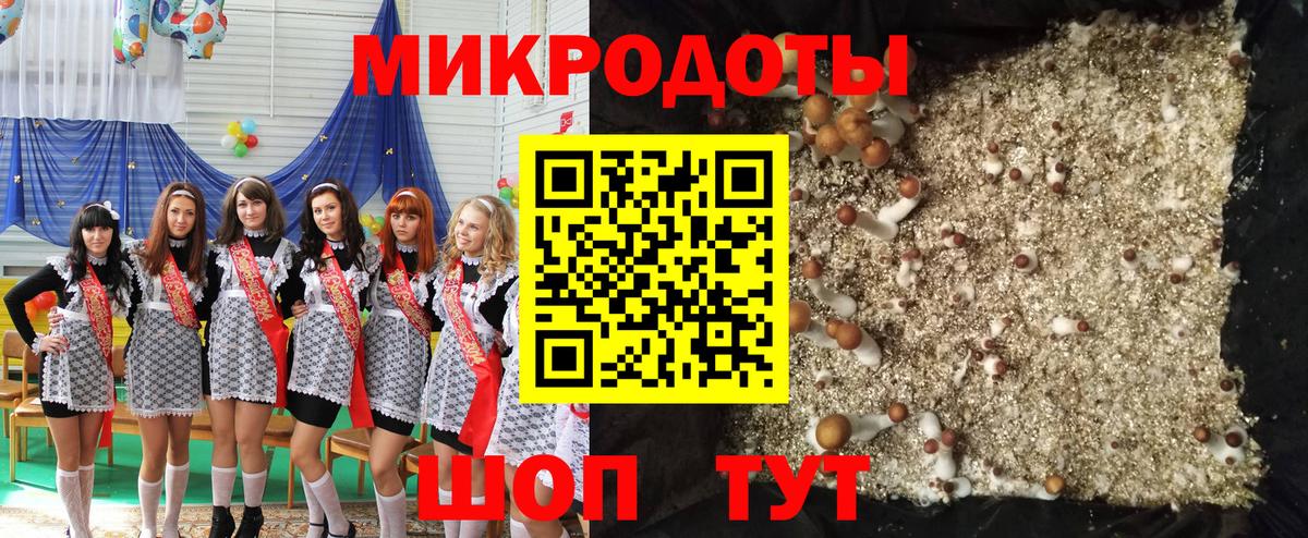 Галлюциногенные грибы Psilocybine cubensis Тольятти
