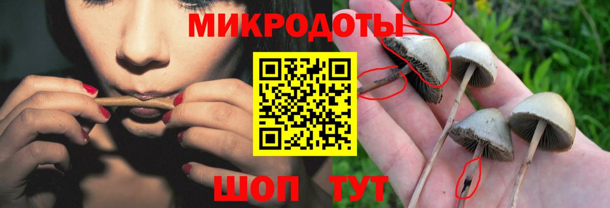 Галлюциногенные грибы MAGIC MUSHROOMS  Вход с VPN  Тольятти 